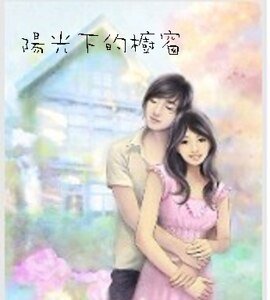 阳光下的橱窗
